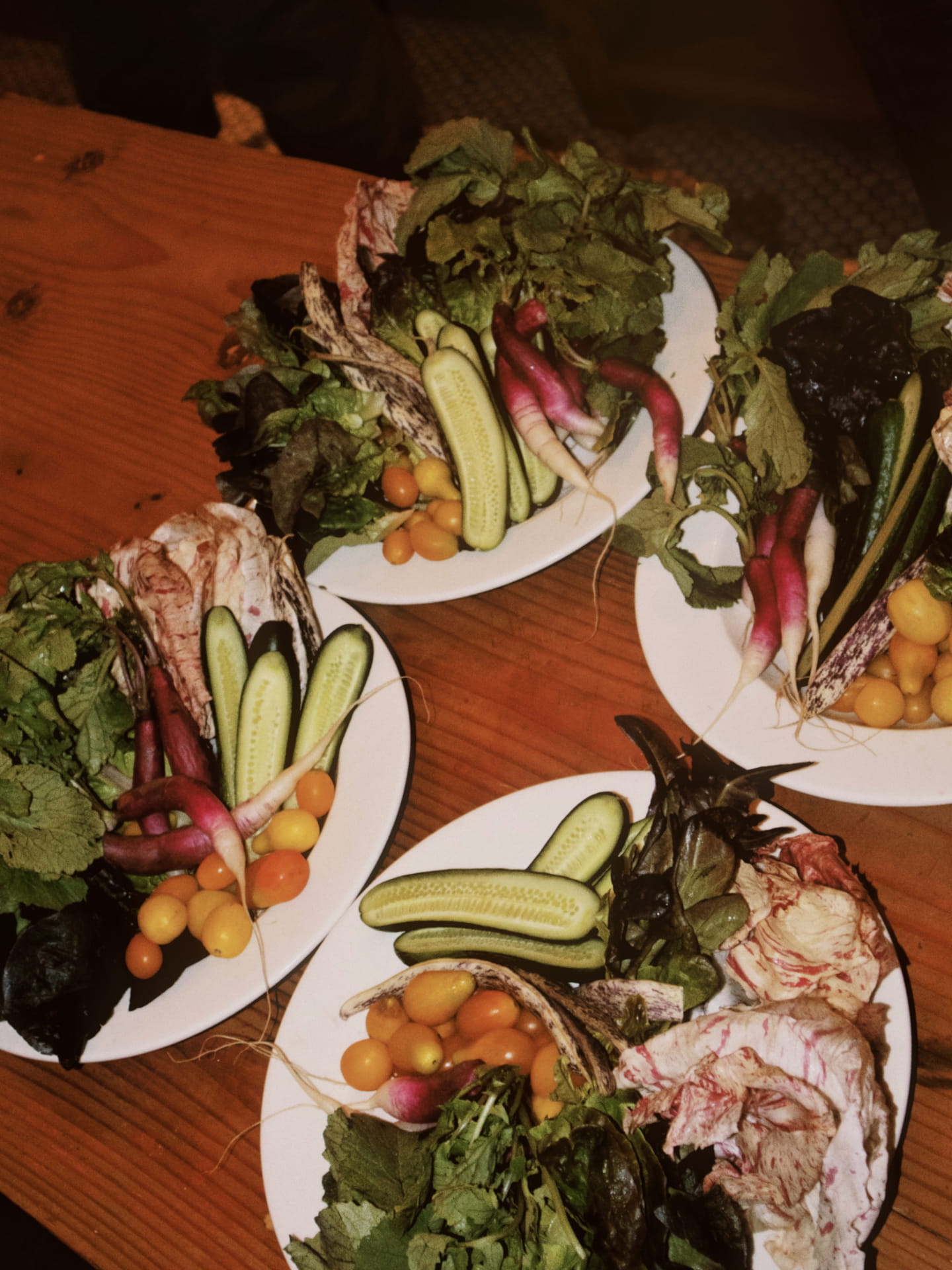 Cooking Notes Book Launch